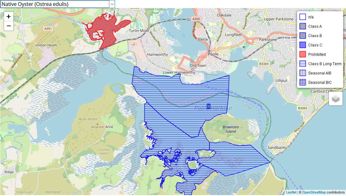 CEFAS Classification of the Native Oyster beds in Poole Harbour, 2021